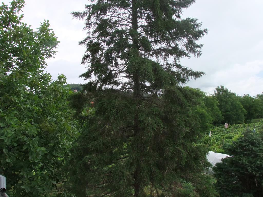 Levente Apartman Balatongyörök Exterior foto